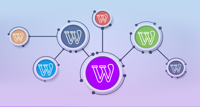 How to Create a Multisite Network in WordPress