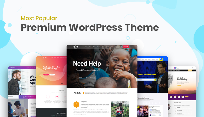 popular premium WordPress themes